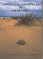 Schleich, Kästle, Kabisch: Amphibians and Reptiles of North Africa