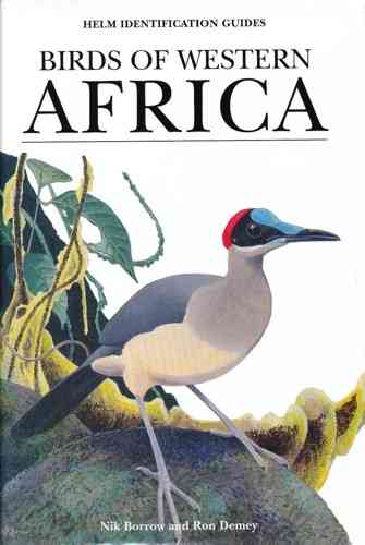Borrow : Birds of Western Africa