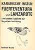 Mache: Kanarische Inseln: Fuerteventura und Lanzarote - Die besten Gebiete zur Vogelbeobachtungen