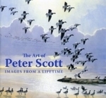 Scott, Scott, Shackleton: The Art of Peter Scott - Images from a Lifetime