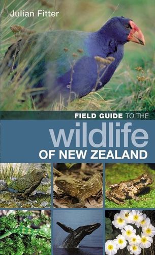Fitter: Field Guide to the Wildlife of New Zealand