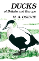Ogilvie : Ducks of Britain and Europe :