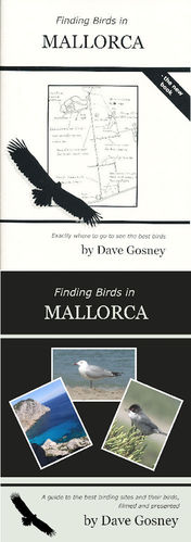 Gosney: Finding Birds in Mallorca - Set book + DVD