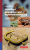 Glandt : Grundkurs Amphibien- und Reptilienbestimmung