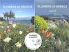 Lafranchis, Sfikas: Flowers of Greece