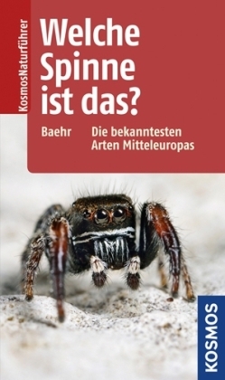 Baehr, Baehr: Welche Spinne ist das? - Die bekanntesten Arten Mitteleuropas