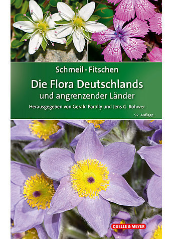 Parolly, Rohwer et al (Hrsg.): Schmeil-Fitschen - Flora von Deutschland und angrenzender Gebiete