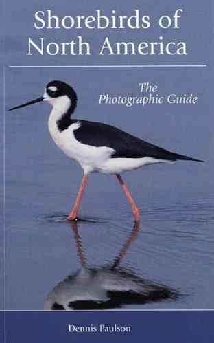 Paulson: Shorebirds of North America - The Photographic Guide