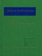 Flora of North America Editiorial Committee : Flora of North America and North of Mexico : Volume 3: Magnoliophyta: Magnoliidae and Hamamelidae