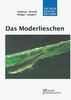 Arnold, Längert: Das Moderlieschen - Leucaspinus delineatus - Bilogie, Haltung und Artenschutz