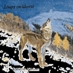 Roché, Gunn : Wailing Wolves : Loups en Liberé