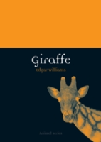 Williams : Giraffe :