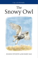 Potapov, Sale : The Snowy Owl :