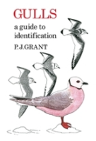 Grant : Gulls : A Guide to Identification