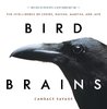 Savage: Bird Brains - The Intelligence of Crows, Ravens, Magpies, and Jays