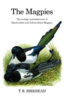 Birkhead; Illustr.: Quinn : The Magpies : The Ecology and Behavioural of Black-Billed and Yellow-Billed Magpies