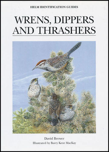 Brewer, Illustr.: MacKay: Wrens, Dippers and Thrashers