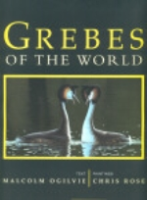 Ogilvie, Illustr: Rose : Grebes of the World :