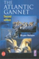 Nelson : The Atlantic Gannet :