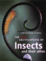 O'Toole (Hrsg.) : The New Encyclopedia of Insects and their Allies :