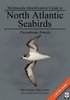 Flood, Fisher: Multimedia Identification Guide to North Atlantic Seabirds
