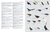 HBW and BirdLife Int Illustrated Checklist Birds of the World - V.1 (Non-passerines)
