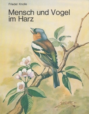 Knolle: Mensch und Vogel im Harz
