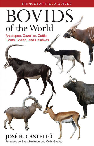 Castelló. Bovids of the World - Antelopes, Gazelles, Cattle, Goats, Sheep, and Relatives
