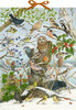 Henker (Illustr.):  Sound Adventskalender Unsere Vögel im Winter. Mit 24 Vogelstimmen