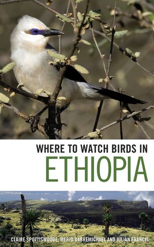 Spottiswoode, Gabremichael, Francis: Where to Watch Birds in Ethiopia