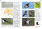Shirihai, Svensson: Handbook of Western Palearctic Birds - Passerines