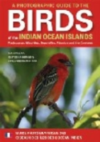 Sinclair, Langrand, Andriamialisoa: Photographic Guide to the Birds of the Indian Ocean Islands