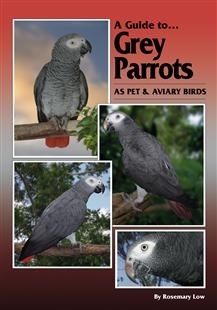 Low: A Guide to Grey Parrots As Pet And Aviary Birds