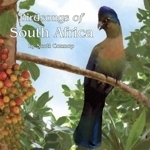 Connop : Birdsongs of South Africa :