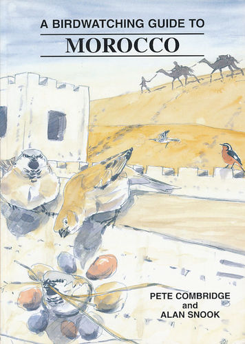 Combridge, Snook: A Birdwatching Guide to Morocco