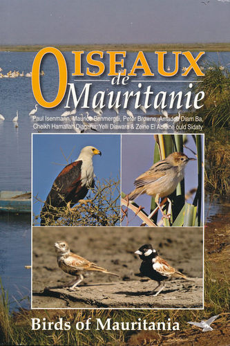Isenmann et al:  Oiseaux de Mauritanie - Birds of Mauritania