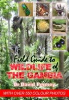 Penney : Field Guide to Wildlife of The Gambia : An Introduction to Common Flowers and Animals