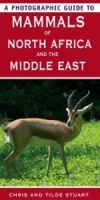 Stuart, Stuart : Photographic Guide to Mammals of North Africa and the Middle East :