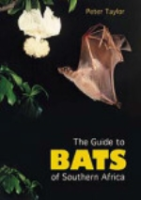 Taylor : The Guide to Bats of Southern Africa : A Handbook on Biology, Identification and Conservation