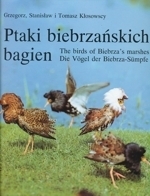 Klosowscy, Klosowscy, Klosowscy : Ptaki biebrzanskich bagien : The Birds of Biebrza's Marshes - Die Vögel der Biebrza-Sümpfe
