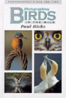 Hicks : Photographing Birds in the Wild :
