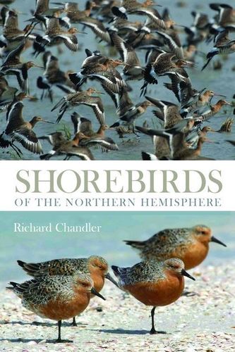 Chandler: Shorebirds of the Northern Hemisphere