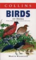 Woodcock, Heinzel: Birds of India -