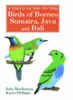 MacKinnon, Phillipps : A Field Guide to the Birds of Borneo, Sumatra, Java and Bali :