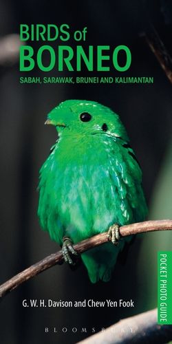 Davison: Birds of Borneo - Sabah, Sarawak, Brunei, and Kalimantan