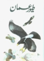 Gallagher, Illustr.: Woodcock : The Birds of Oman :