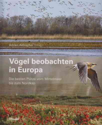 Aebischer: Vögel beobachten in Europa - Die besten Plätze vom Mittelmeer bis zum Nordkap
