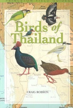 Robson: A Field Guide to the Birds of Thailand
