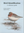 Adolfsson, Cherrug : Bird Identification :