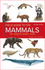 Francis: Field Guide to the Mammals of South-east Asia
